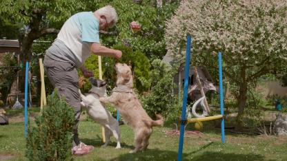 Szenenfoto: Frau spielt mit zwei kleinen Hunden im Garten